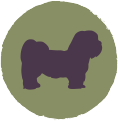 Lynn T&F Dog Trainer