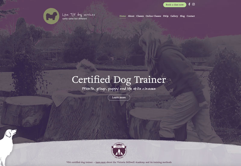 Lynn T&F Dog Trainer